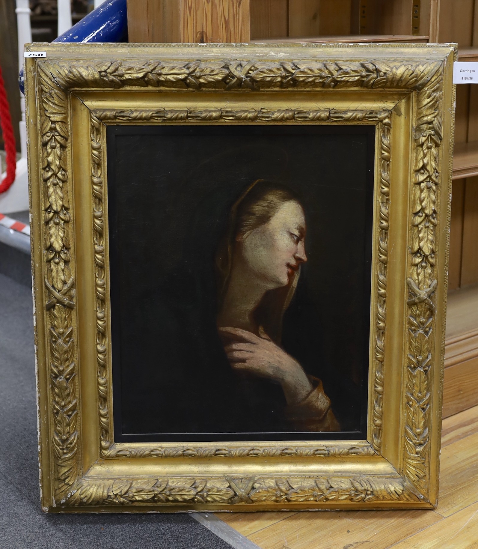 Continental School, 18th century, oil on board, Study of the Virgin Mary, in ornate gilt frame, 47 x 38cm